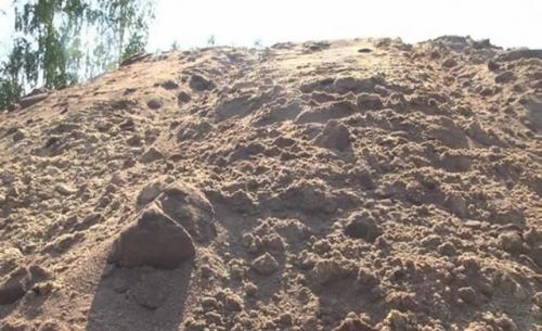 Самые древние в мире отпечатки детских ног обнаружены.
