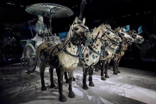 * Терракотовая армия императора цинь шихуанди, Китай *. 09