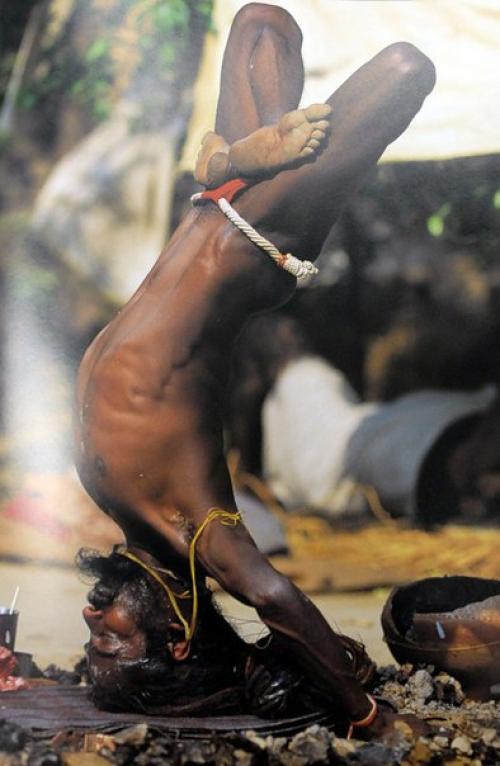 Йоги и их феноменальные способности, загадки. 02 Йоги и их феноменальные способности, загадки. 02