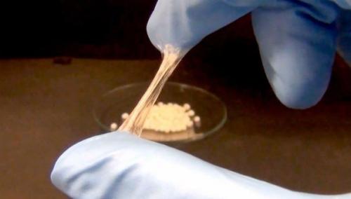 Японцы клеящий порошок создали. Японцы клеящий порошок создали.