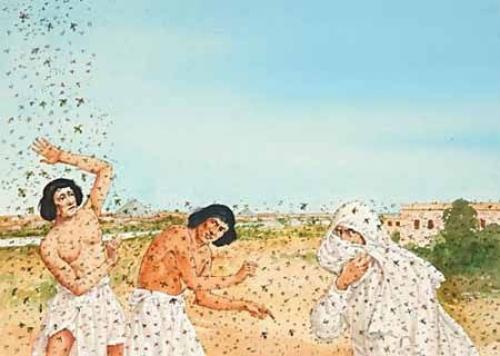 Объяснения эпидемиологов десяти казней египетских. 03