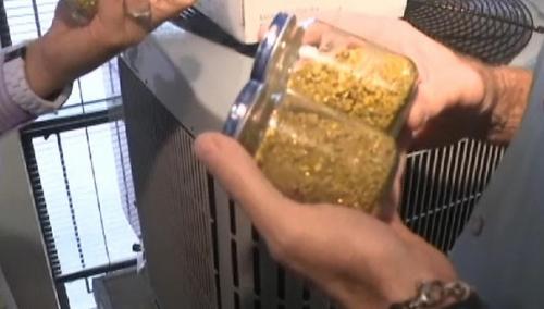 10 удивительных секретов, найденных под полом. 08