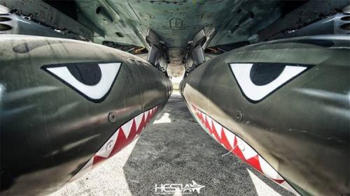 Сухой су - 22 - истребитель - бомбардировщик, выпущенный в средине 70-х годов, широко поставляемый на экспорт в различные Горячие Точки мира. 01