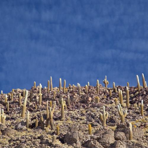 Пустыня может быть ключом к поиску жизни на Марсе? 02