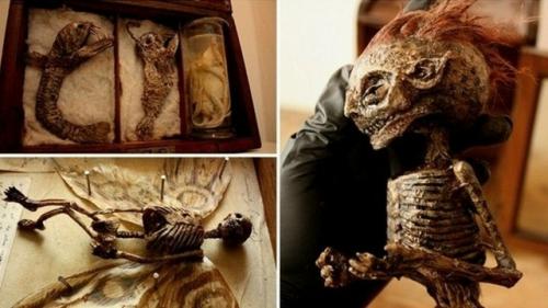 Коллекция таинственных криптидов Томаса мерлина. 05