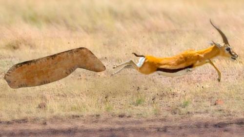 На Алтае обнаружили древнейшую фигурку пещерного Льва. 02