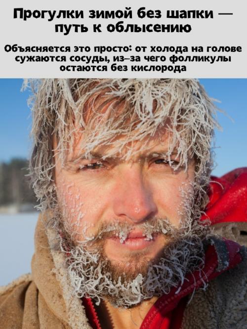 Прогулки зимой без шапки - прямой путь к облысению, предупреждают врачи.

