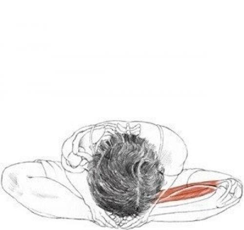 Комплекс упражнений на растяжку. 07 Комплекс упражнений на растяжку. 07