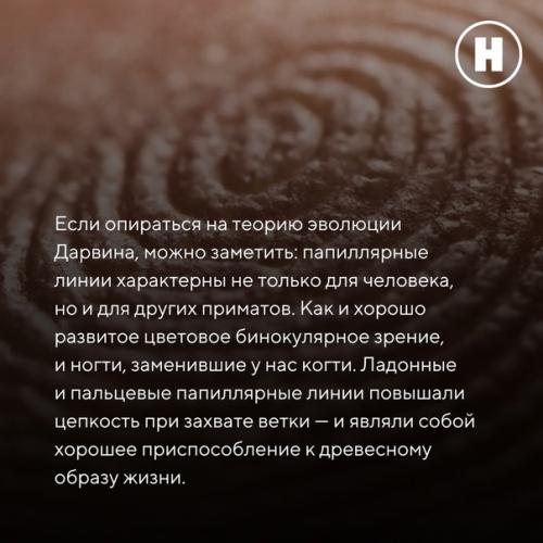 Зачем человеку нужны линии на ладонях? 02