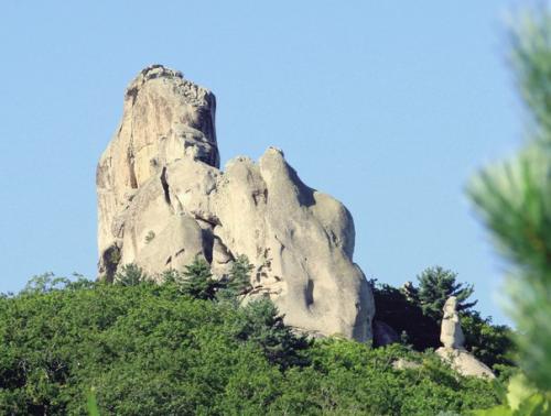 Город драконов (приморский край). 06