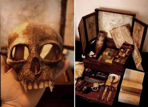 Томас мерлин и его коллекция таинственных криптидов. 09