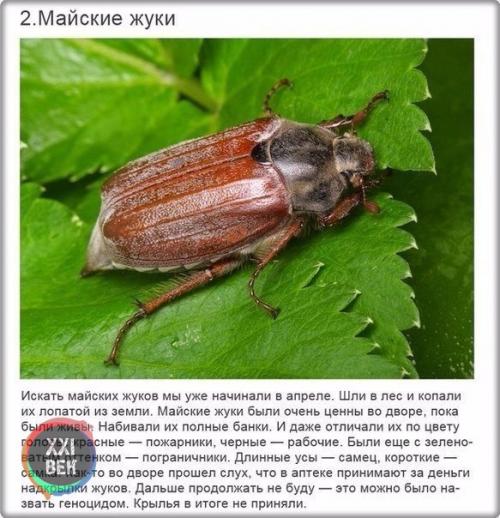 У детей моего поколения не было компьютеров, и этим всё сказано. 01