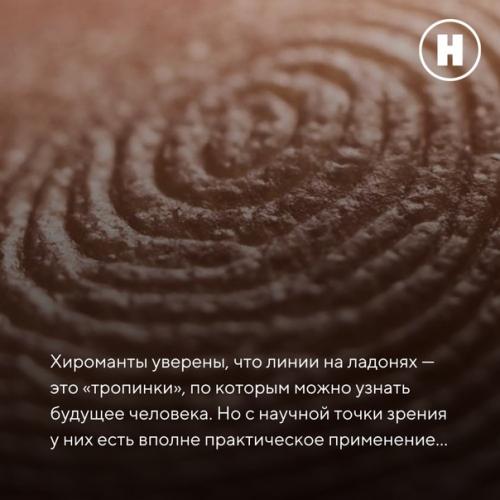Зачем человеку нужны линии на ладонях? 01