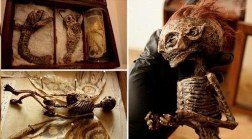 Томас мерлин и его коллекция таинственных криптидов. 06