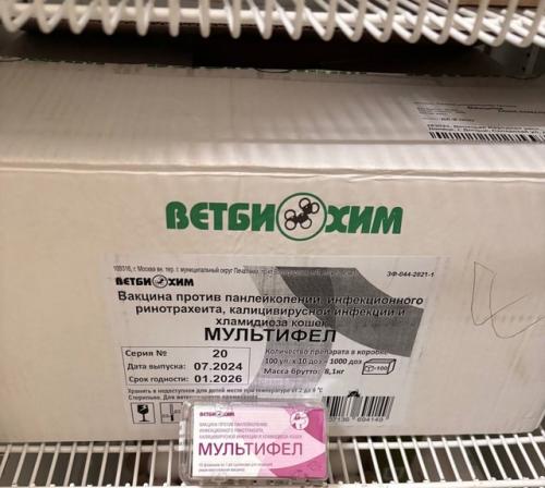 Мы в ответе за даже за тех, кого не приручали. 03 Мы в ответе за даже за тех, кого не приручали. 03