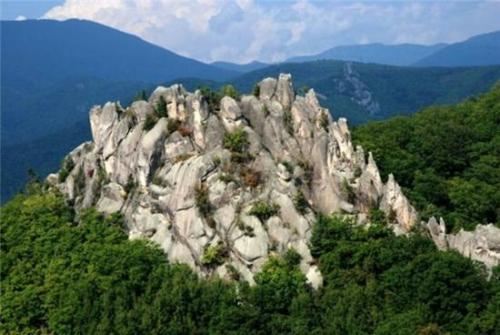 Город драконов (приморский край). 07