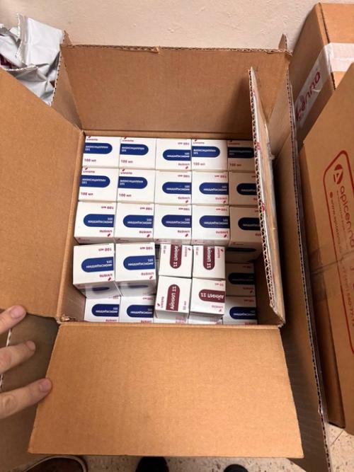 Бездомные животные в ЛНР получат помощь по программе экогумиссий. 01