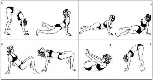 Пять упражнений поля брегга для восстановления позвоночника.

