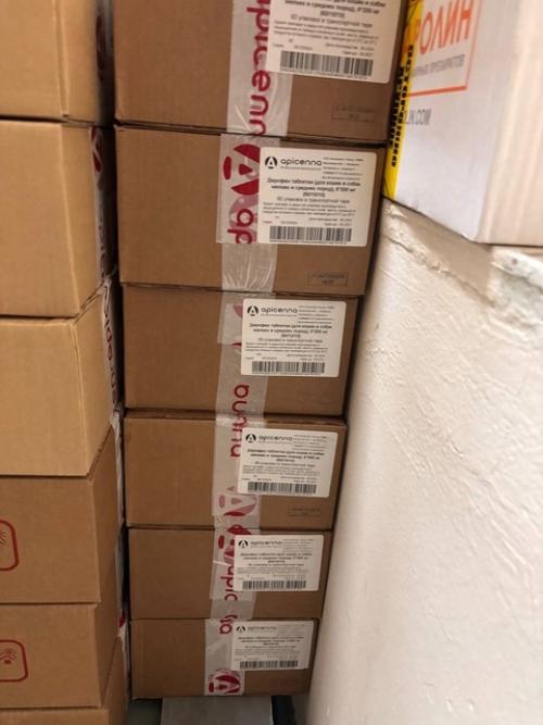 Бездомные животные в ЛНР получат помощь по программе экогумиссий. 02