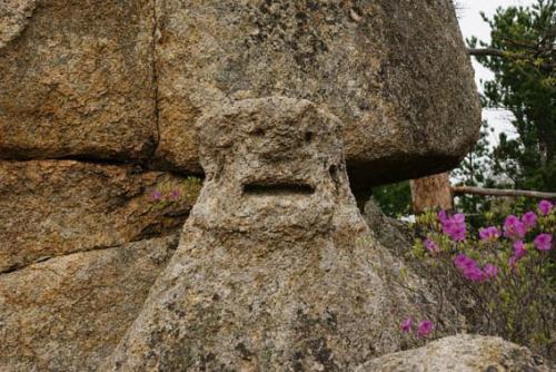 Город драконов (приморский край). 05