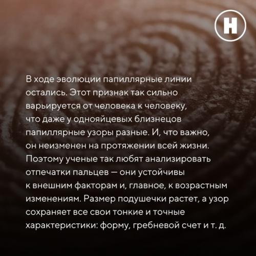 Зачем человеку нужны линии на ладонях? 04