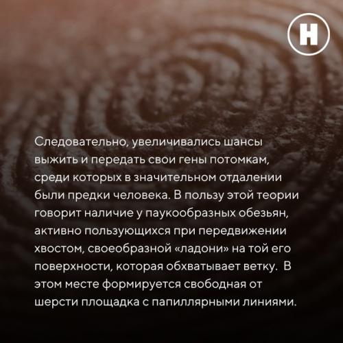 Зачем человеку нужны линии на ладонях? 03