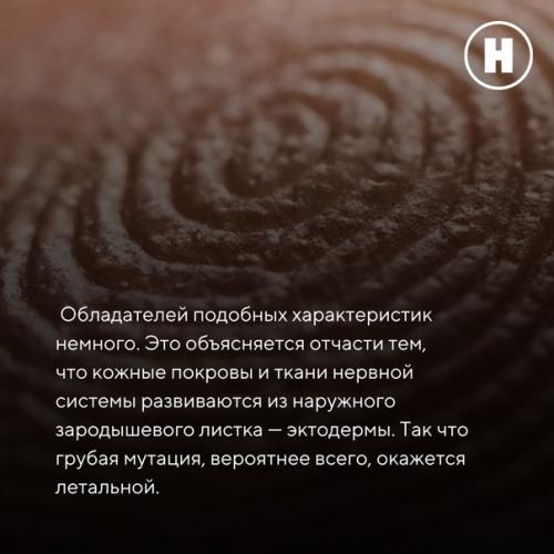 Зачем человеку нужны линии на ладонях? 08