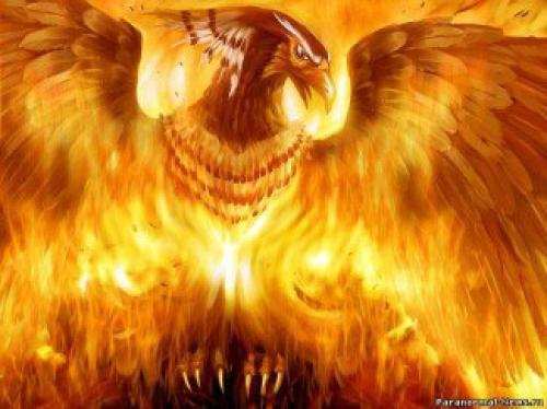 Откуда взялся феникс? 
