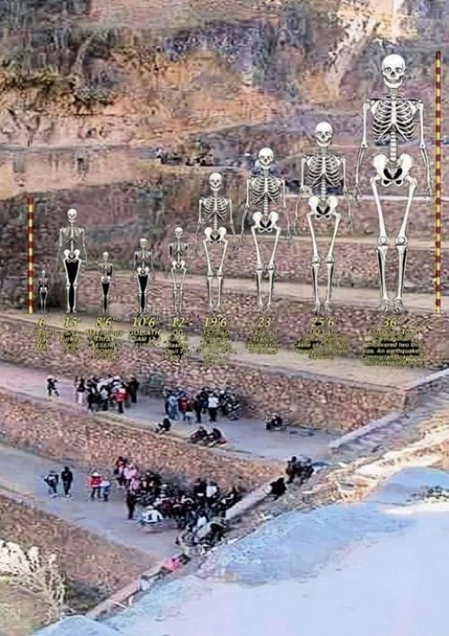 Интересно, для кого была сделана эта Лесенка? 01