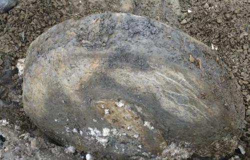 Kаменные диски в Кузбассе нашли. 01 Kаменные диски в Кузбассе нашли. 01