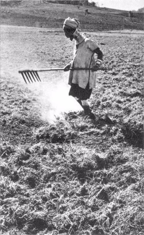 Женщины народа падаунг, Бирма. 07 Женщины народа падаунг, Бирма. 07