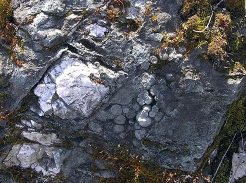 Какую роль сыграли метеориты в появлении жизни на земле: интересная гипотеза. 02 Какую роль сыграли метеориты в появлении жизни на земле: интересная гипотеза. 02