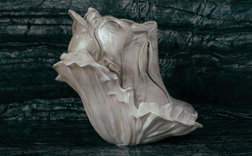 Anastasia Radevich. - Агрессия, культ тлена и красота природы - обувь как современное полотно для художника. 04