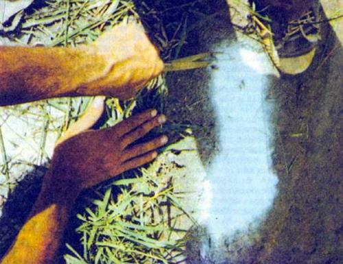 Киик - Адам - снежный человек Тянь-шаня.