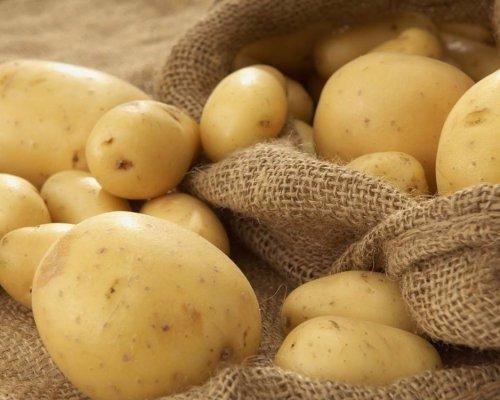 Учёные Nasa собираются выращивать картофель в марсианских условиях.