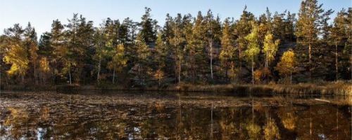 Гиблое марово озеро. 02