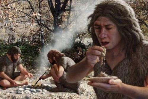 Чем питались люди 100 тысяч лет назад? 03 Чем питались люди 100 тысяч лет назад? 03