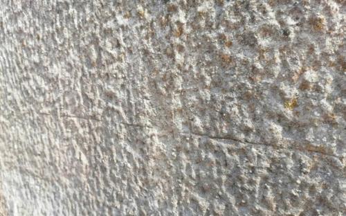 В храме Артемиды эфесской в Турции есть неприметная деталь, о которой редко упоминают. 01