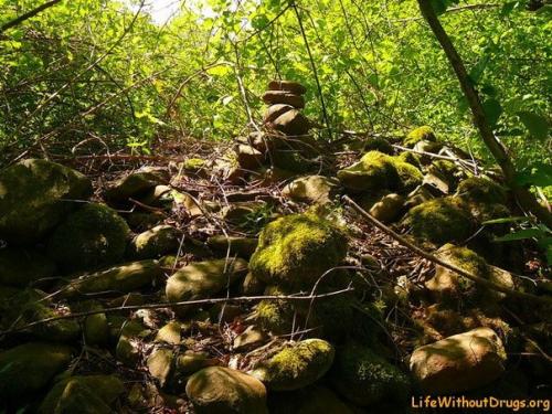 Псынако (Туапсе, Россия) - храм солнца или древняя солнечная обсерватория. 08