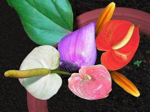 Эти законы помогут добиться успеха в жизни. Эти законы помогут добиться успеха в жизни.