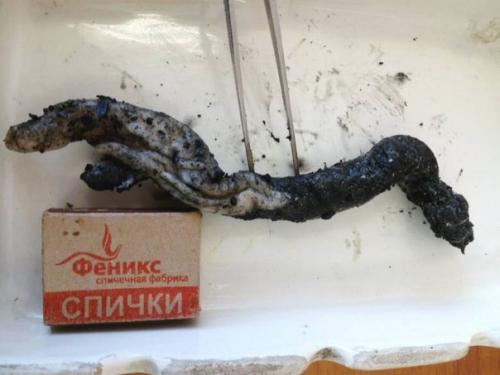 Костанайский Червь может быть связан с нло и гибелью сайгаков. Костанайский Червь может быть связан с нло и гибелью сайгаков.