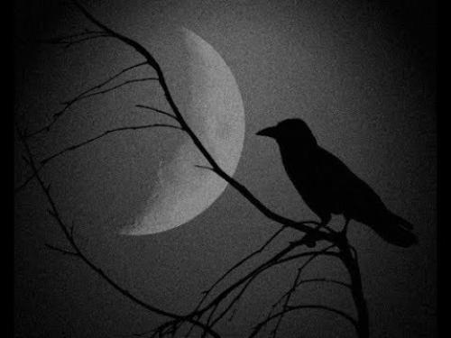 Роковые вороны габсбургов. 04 Роковые вороны габсбургов. 04