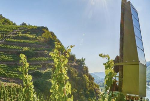 Технологии Intel помогли Провести интернет вещей в виноградники. Технологии Intel помогли Провести интернет вещей в виноградники.