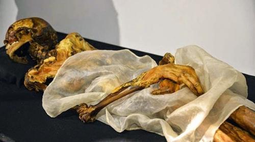 Загадочное плато укок. 06