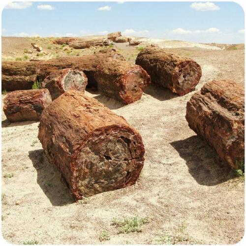 Кремниевая жизнь. Была или нет. 01 Кремниевая жизнь. Была или нет. 01