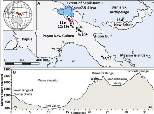 Жители новой Гвинеи вступили в неолит за тысячу лет до прихода мигрантов из Азии. 01 Жители новой Гвинеи вступили в неолит за тысячу лет до прихода мигрантов из Азии. 01