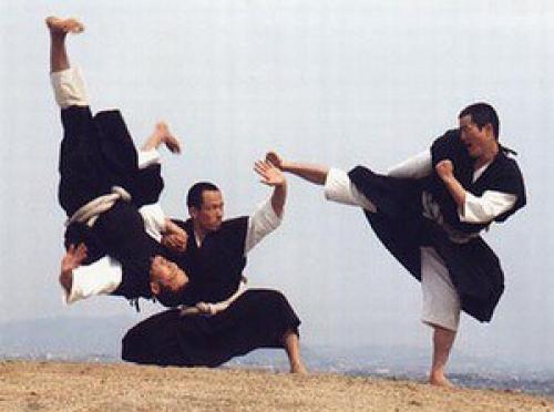 Единоборства - Волшебный мир Востока. Единоборства - Волшебный мир Востока.