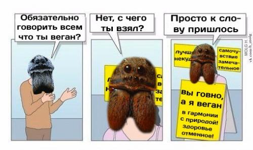 Среди пауков травоядных обнаружили. Среди пауков травоядных обнаружили.