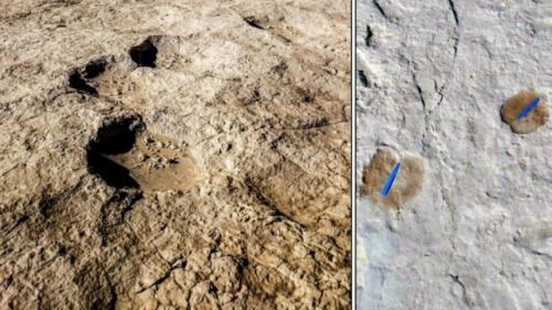 Первые отпечатки людей в новом свете.
