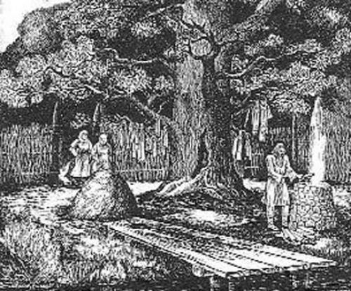 Загадочный город древних вятичей. Загадочный город древних вятичей.